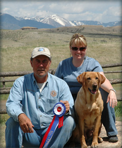 Hope Labrador Retriever