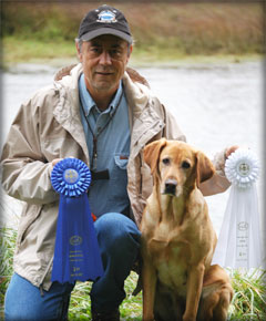 Harry and Hope ribbons